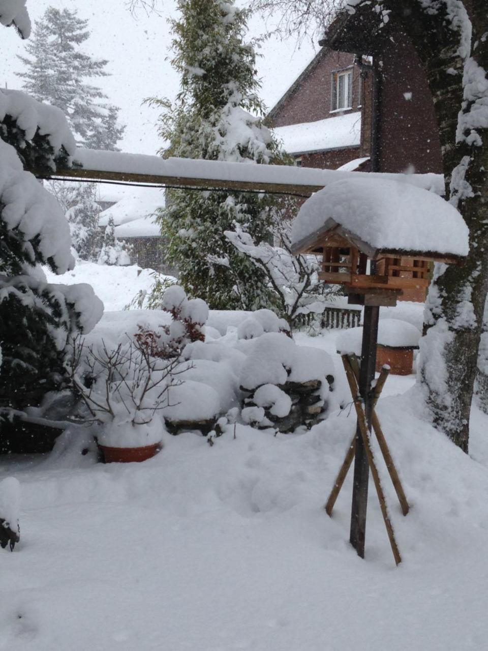 Ferienwohnung Milchgaessli Frutigen Luaran gambar
